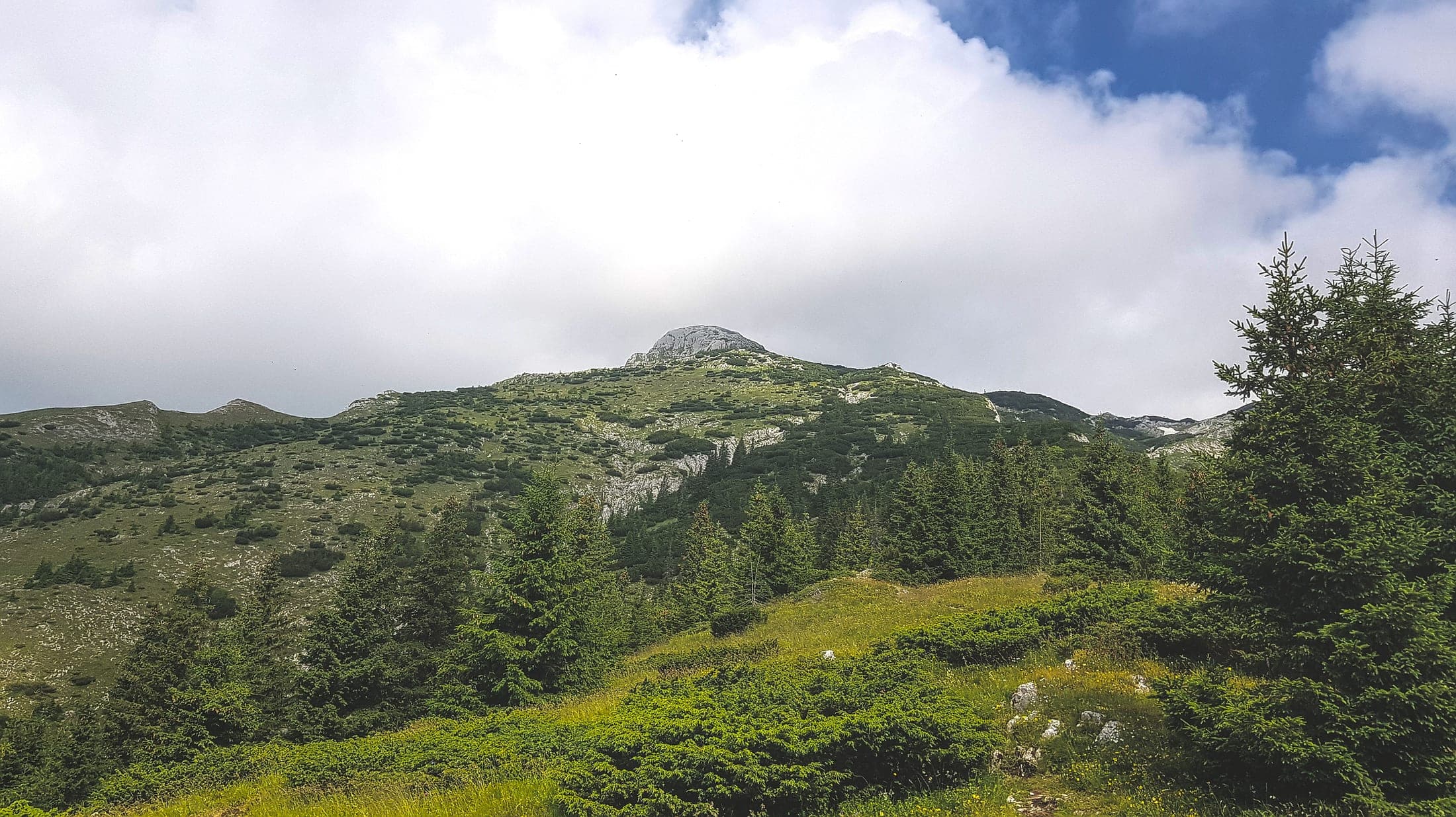 Piatra Iorgovanului — photo 2